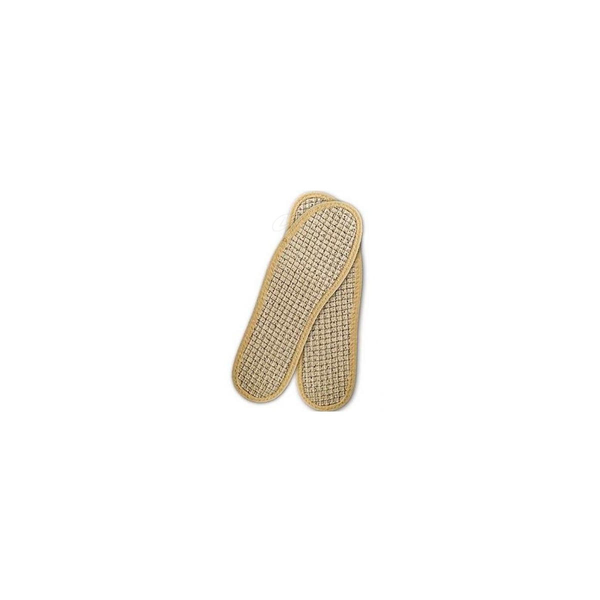 PLANTILLAS T40