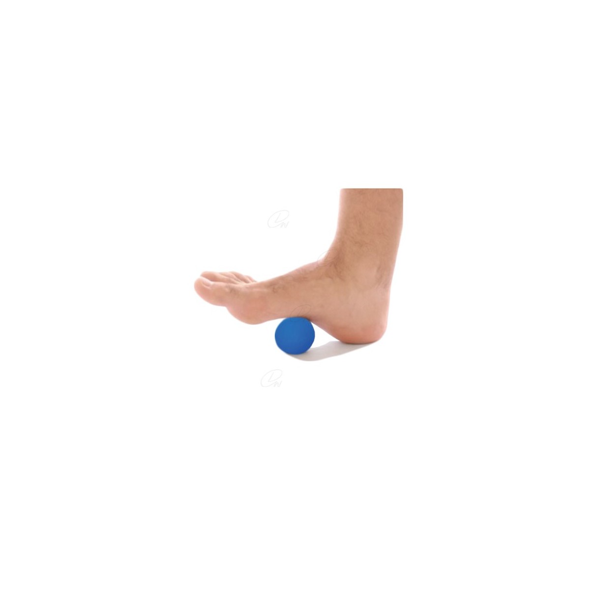 ESFERA DE REHABILITACION