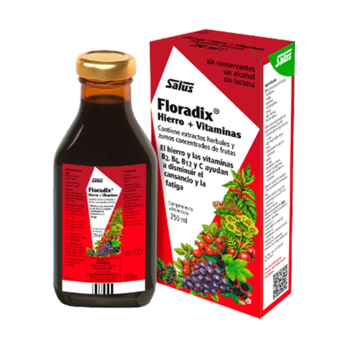 Floradix 500 ml Salus