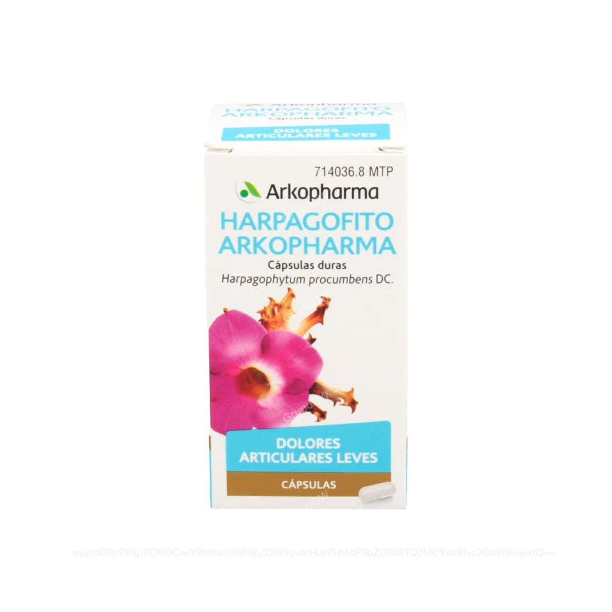 HARPAGOFITO ARKOPHARMA CAPSULAS DURAS, 48 capsulas